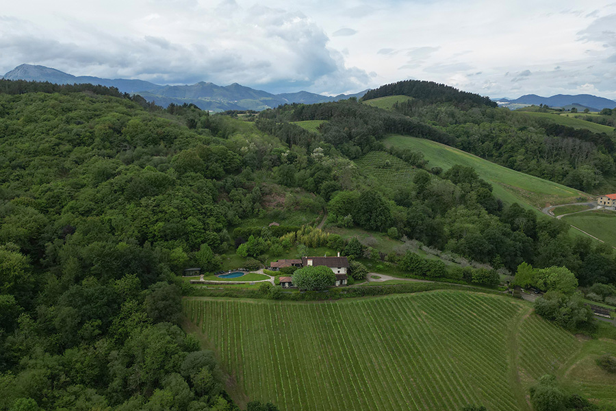 From the Air